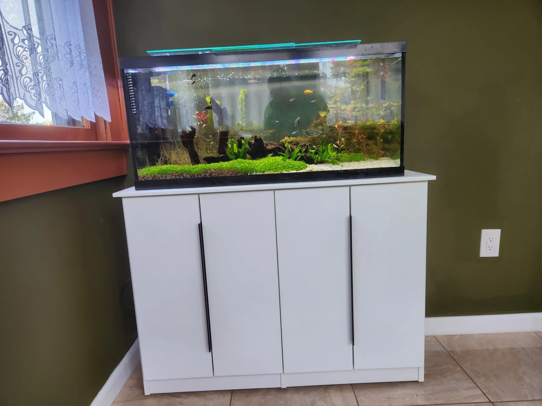 Front view of a white aquarium cabinet with paneled doors